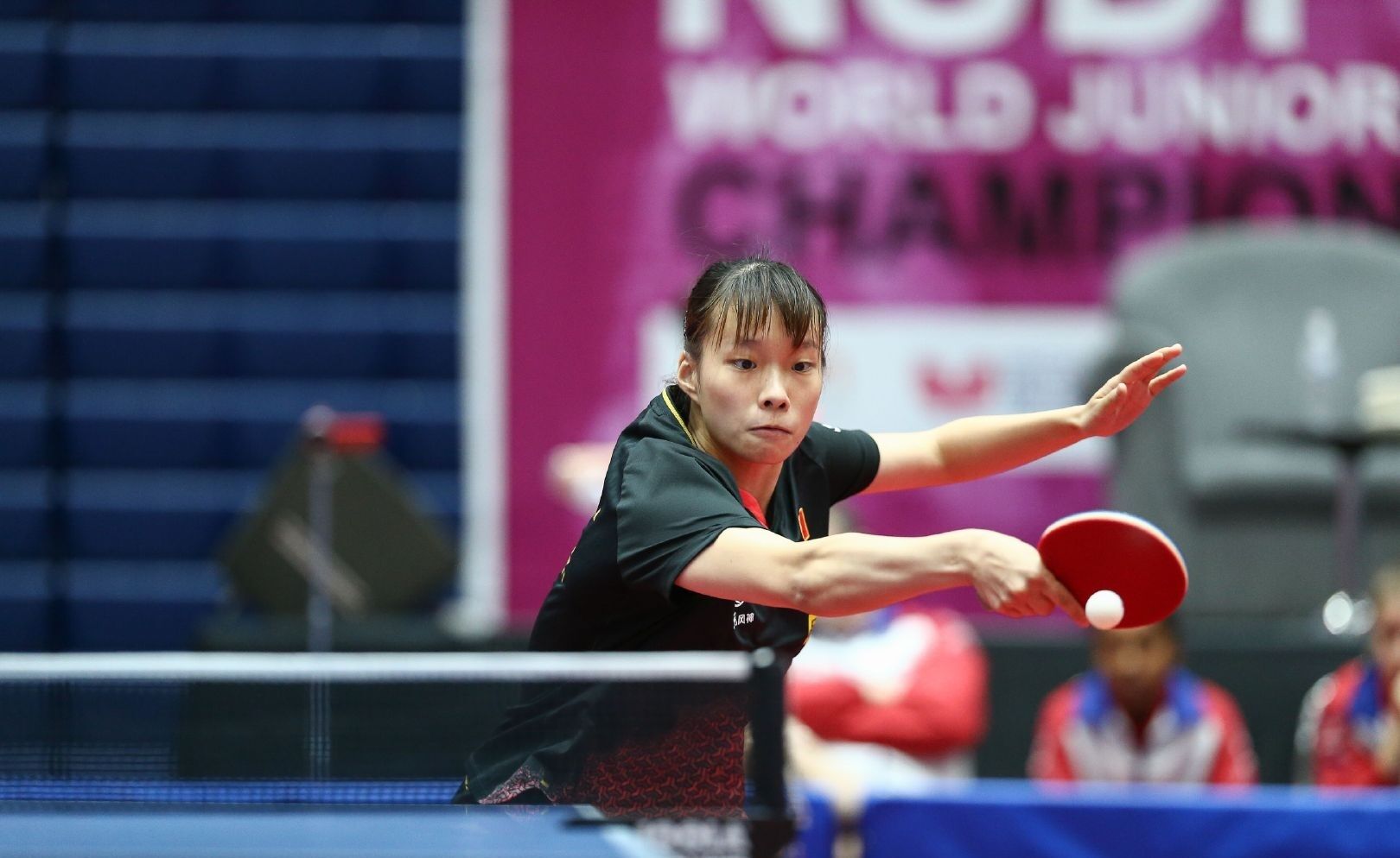 来追求和平 来追求和平